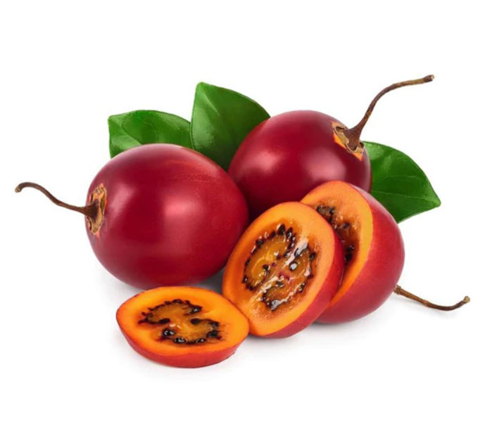 نهال تاماریلو بنفش